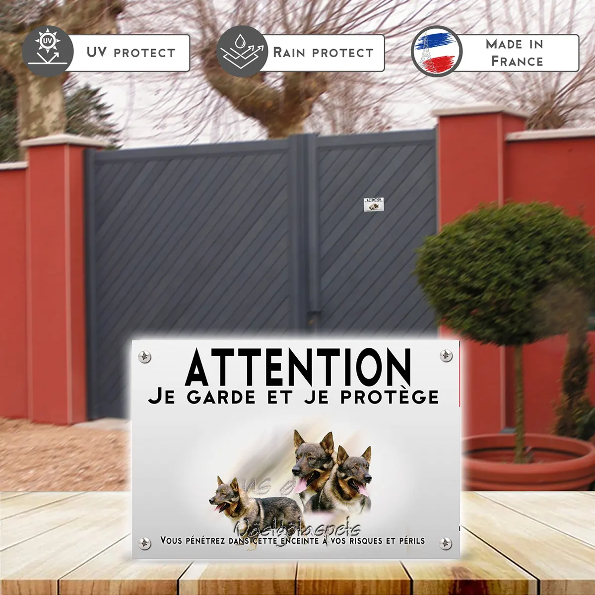 Plaques Trois Västgötaspets avec un fond transparent