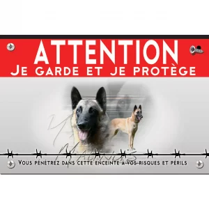 Signalisation personnalisee Illustration de deux chiens Malinois sur fond coloré