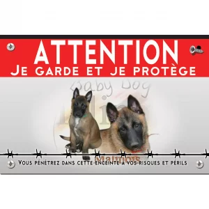 Signalisation personnalisee Un chiot et un chien adulte Malinois
