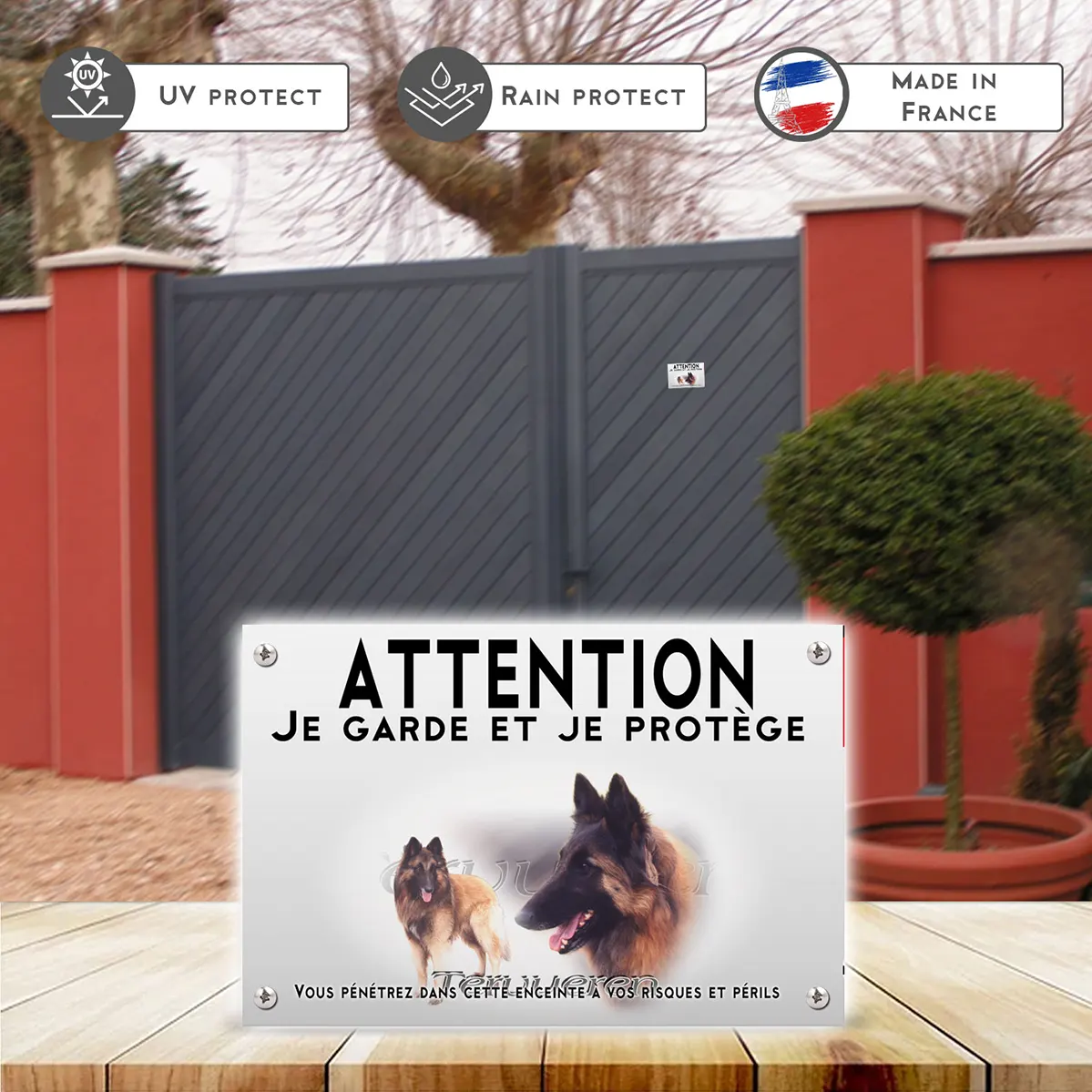 Plaques Chien Tervuren en gros plan et entier dans le fond