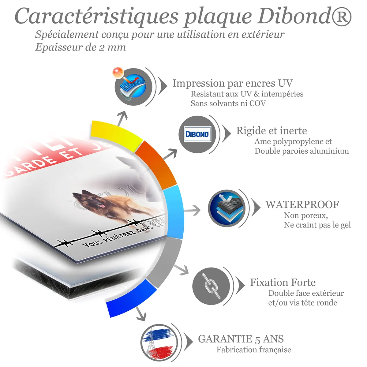 Panneau personnalise Chien Tervuren en gros plan et entier dans le fond