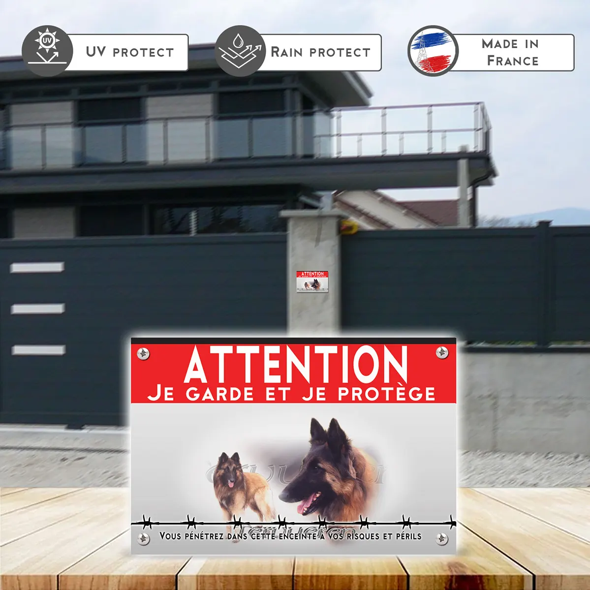 Grande pancarte Chien Tervuren en gros plan et entier dans le fond