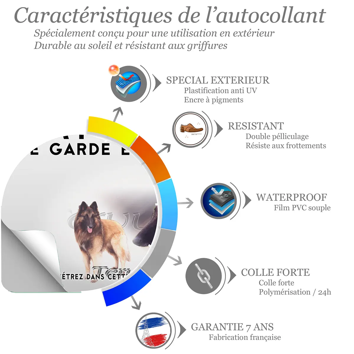 Sticker Chien Tervuren en gros plan et entier dans le fond