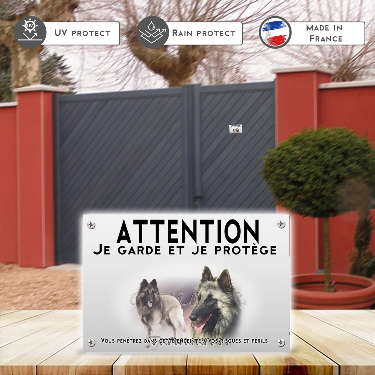 Plaques Chien Tervuren avec un fond léger