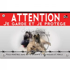 Signalisation personnalisee Chiots Tervuren adorables avec des pelages bruns et noirs