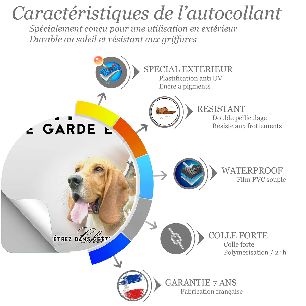 Sticker Chien d'Artois avec plusieurs têtes en arrière plan