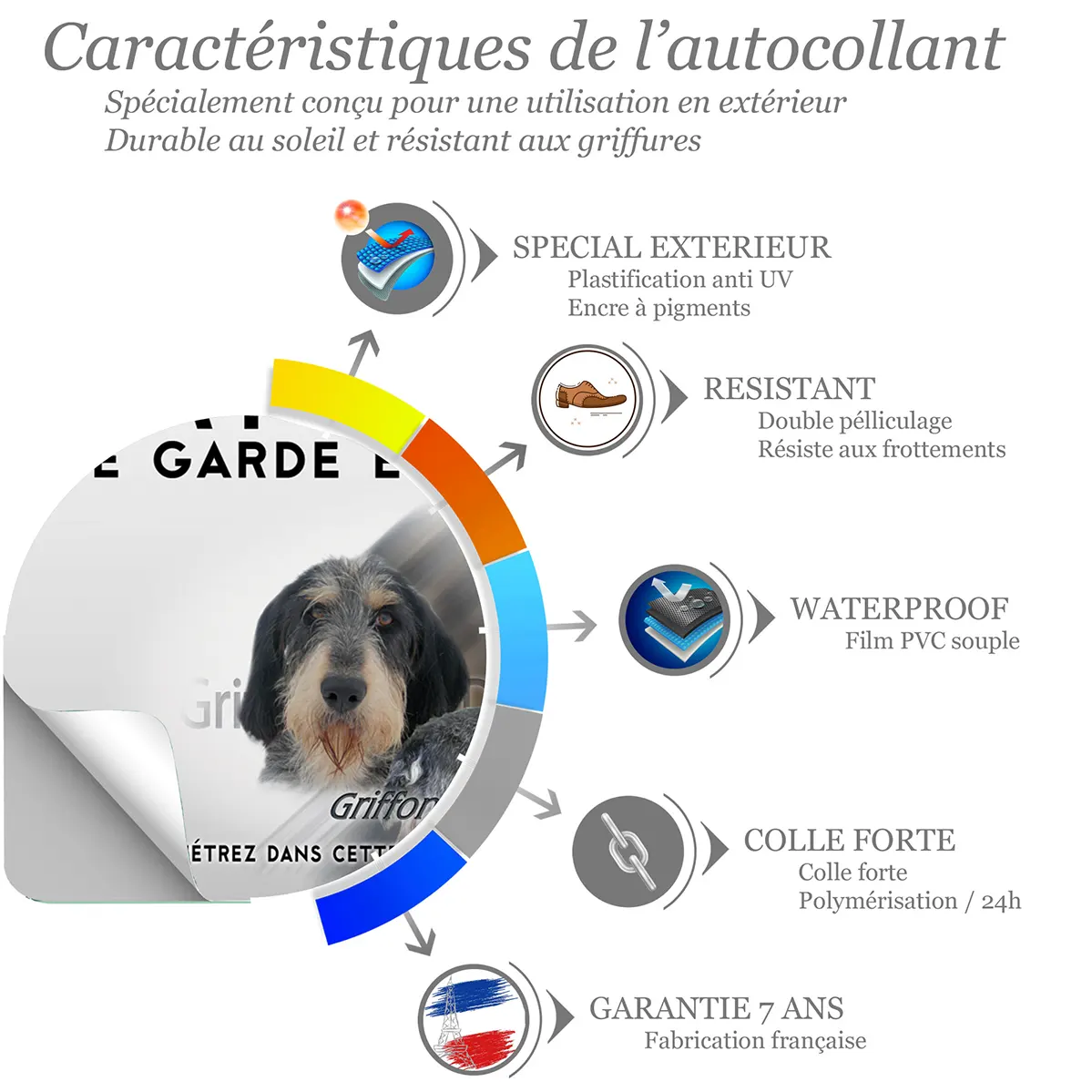 Sticker Griffon Bleu de Gascogne