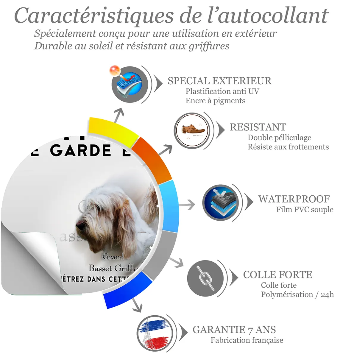 Sticker Deux chiens Grand Basset Griffon Vendéen en profil