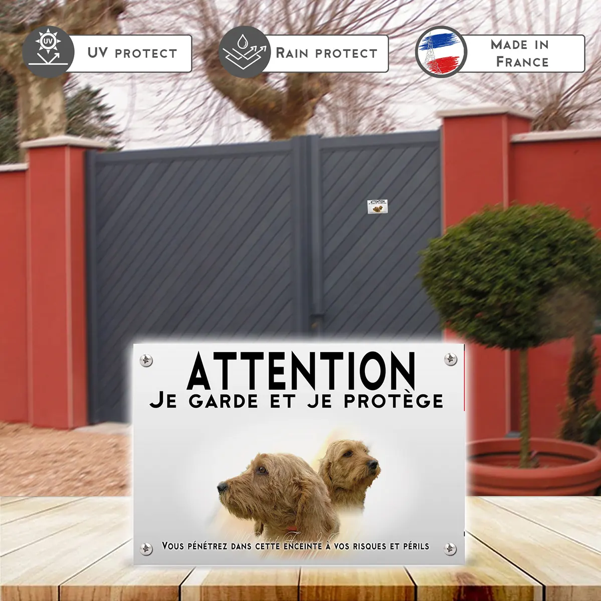 Plaques Portraits de Basset Fauve de Bretagne