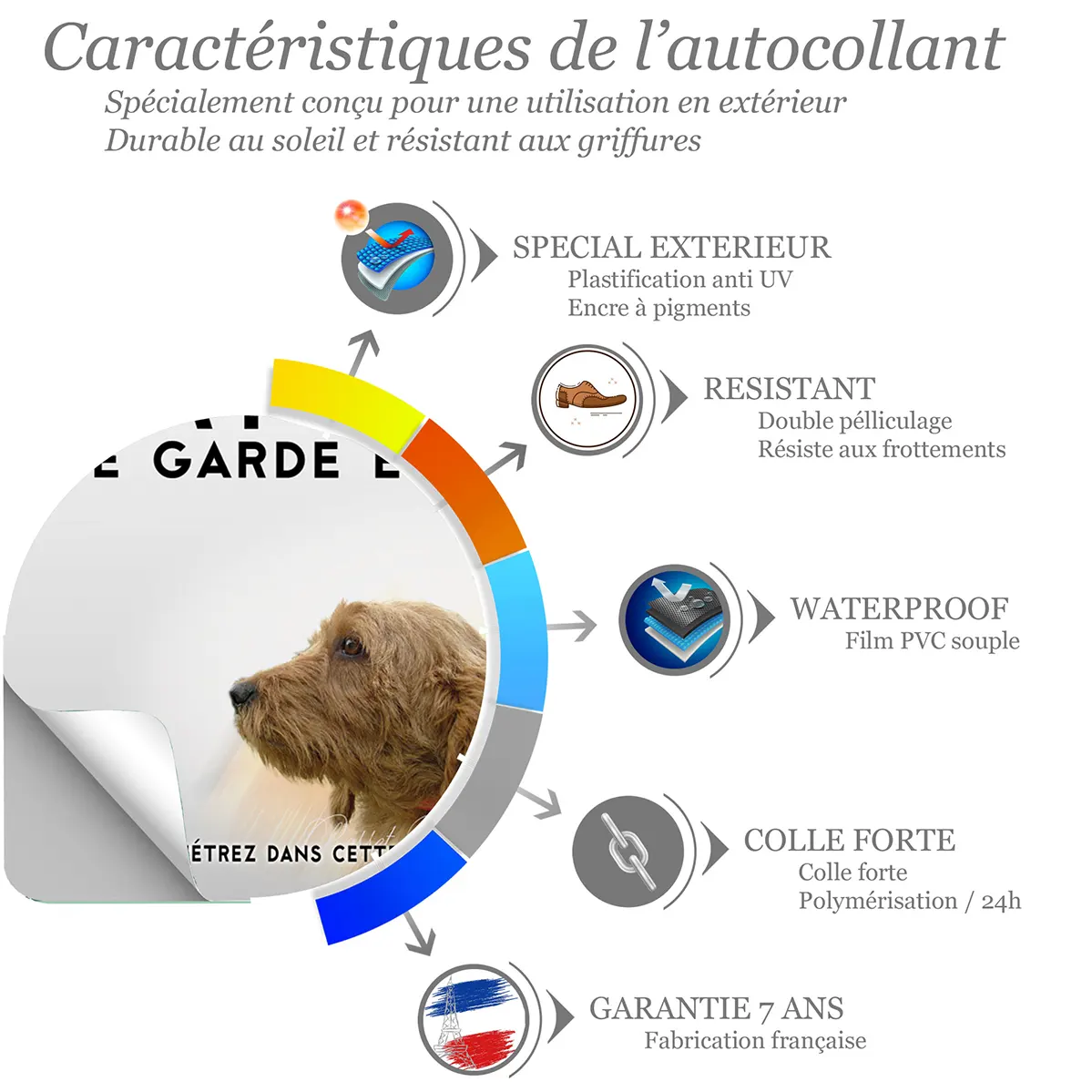 Sticker Portraits de Basset Fauve de Bretagne