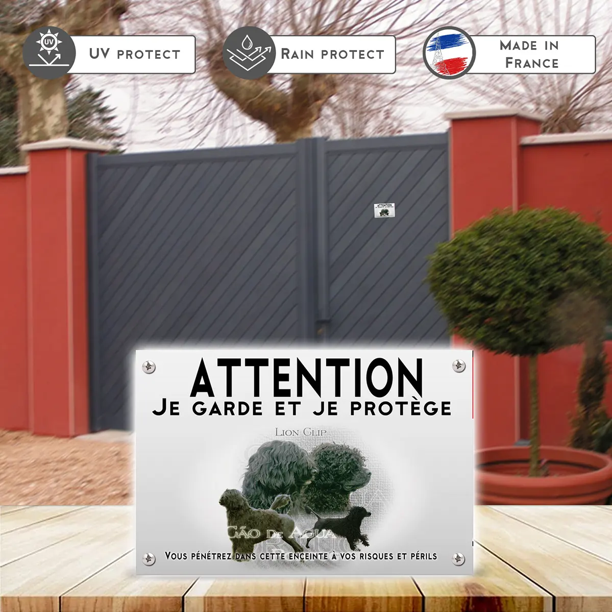 Plaques Cão de Água Português avec deux chiens en arrière plan