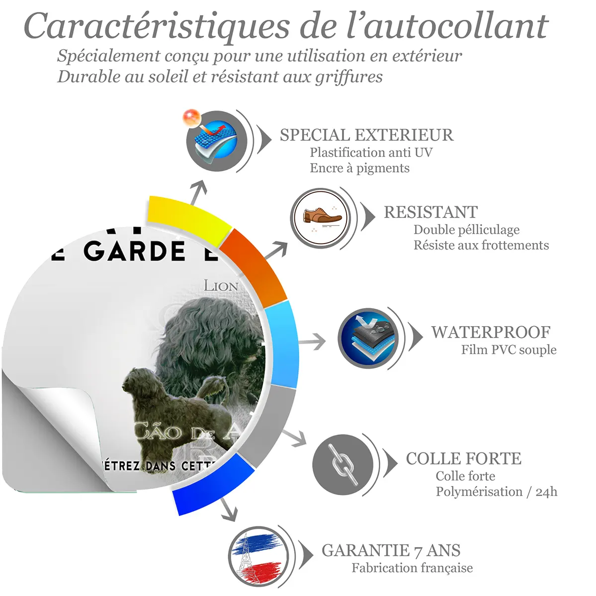 Sticker Cão de Água Português avec deux chiens en arrière plan