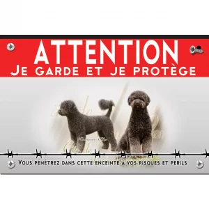 Signalisation personnalisee Chien de race Cão de Água Português avec coupe Retriever