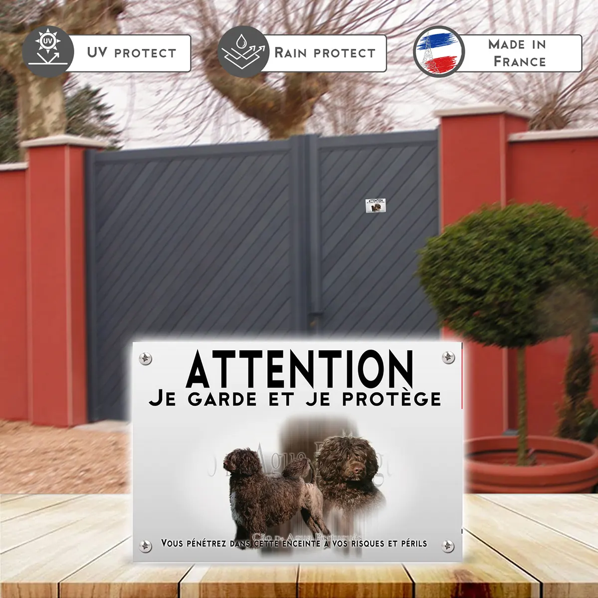 Plaques Deux chiens d'eau portugais sur fond transparent.