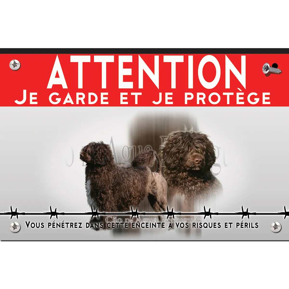Signalisation personnalisee Deux chiens d'eau portugais sur fond transparent.