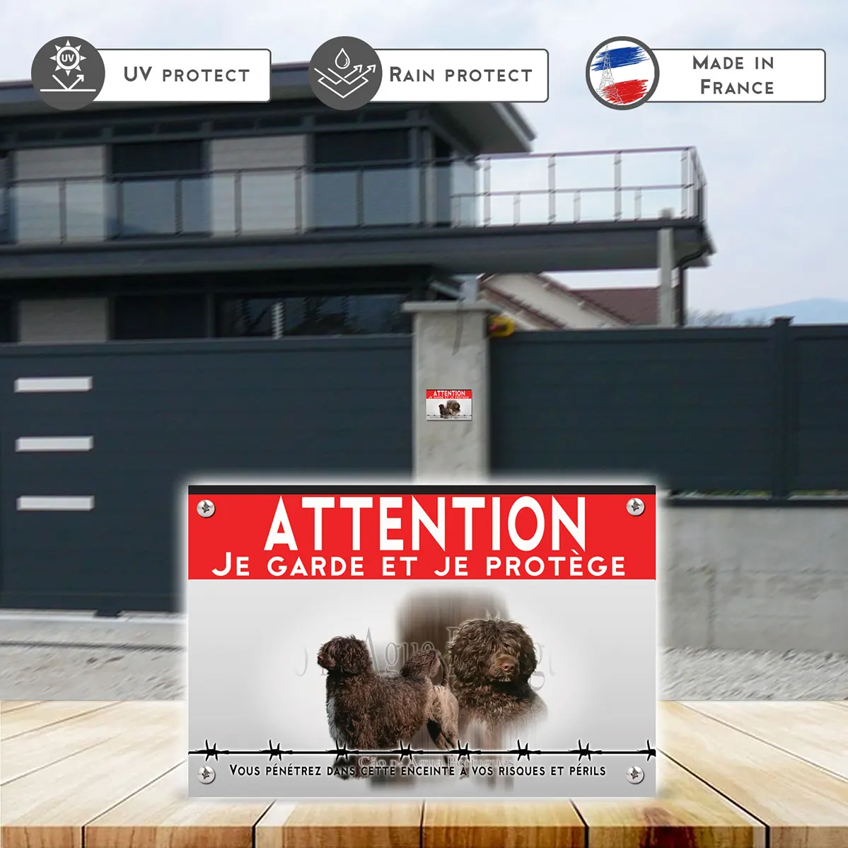 Grande pancarte Deux chiens d'eau portugais sur fond transparent.