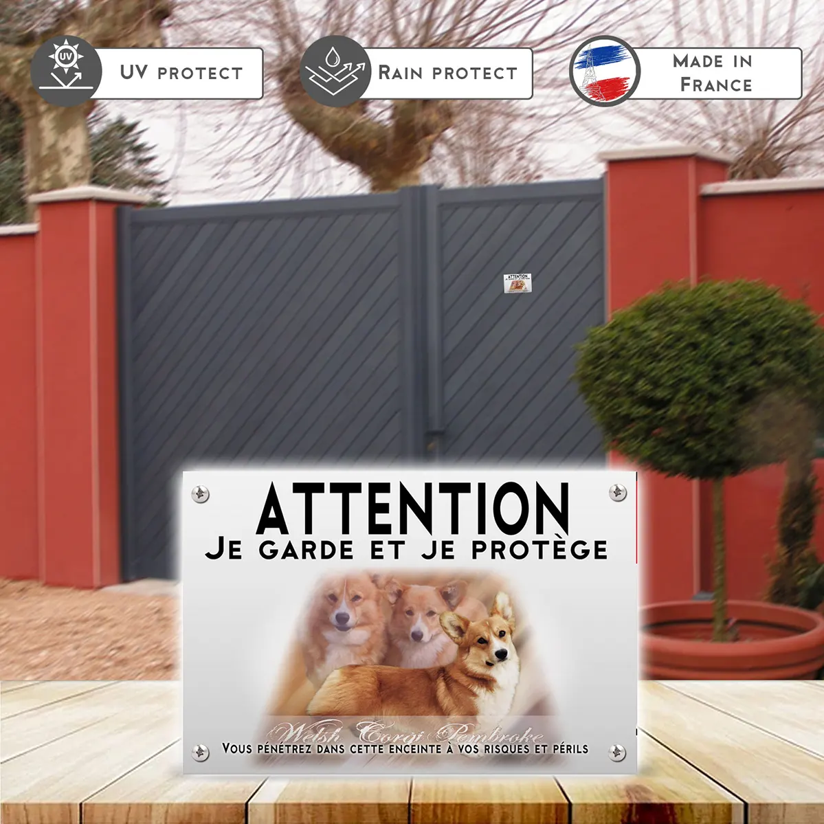 Plaques Deux Welsh Corgis Pembroke et un chien en position couchée.