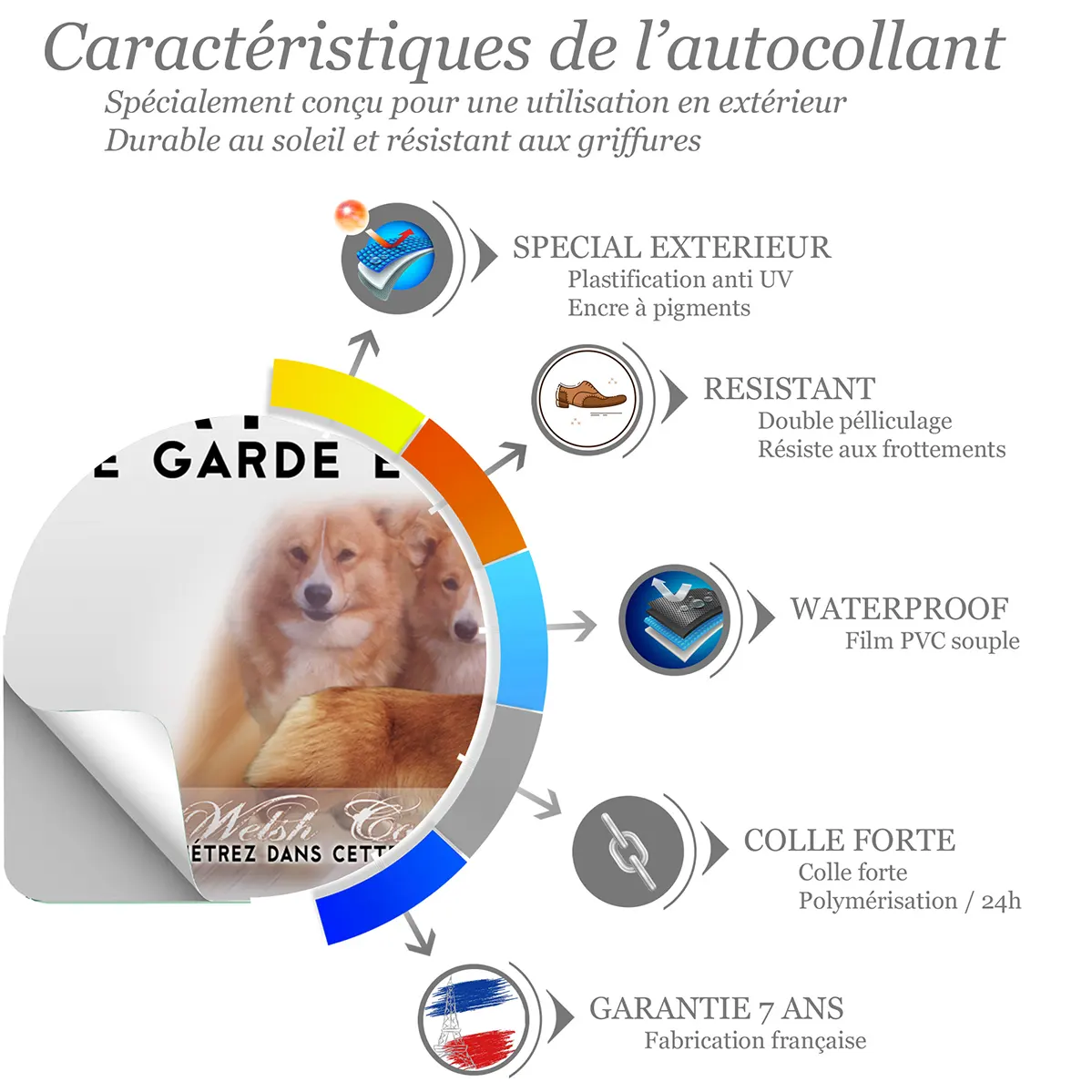 Sticker Deux Welsh Corgis Pembroke et un chien en position couchée.