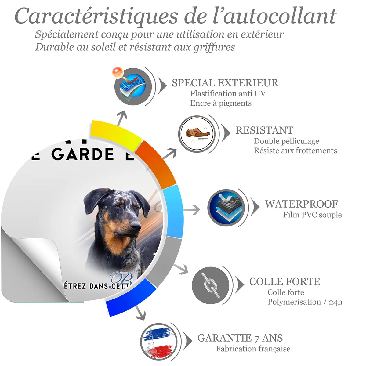 Sticker Portrait d'un Beauceron avec un chien en profil