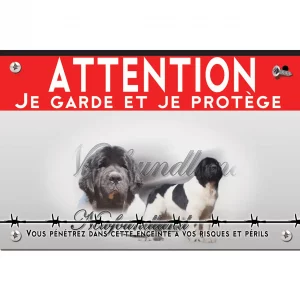 Signalisation personnalisee Chien de race Newfoundland avec un pelage noir et blanc