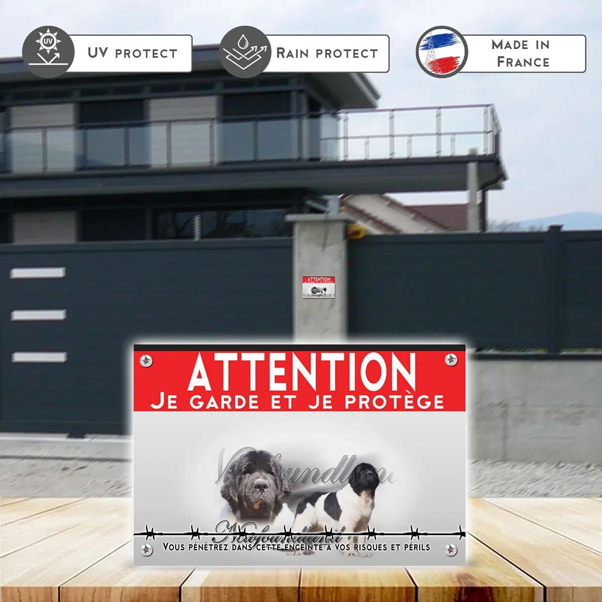 Grande pancarte Chien de race Newfoundland avec un pelage noir et blanc