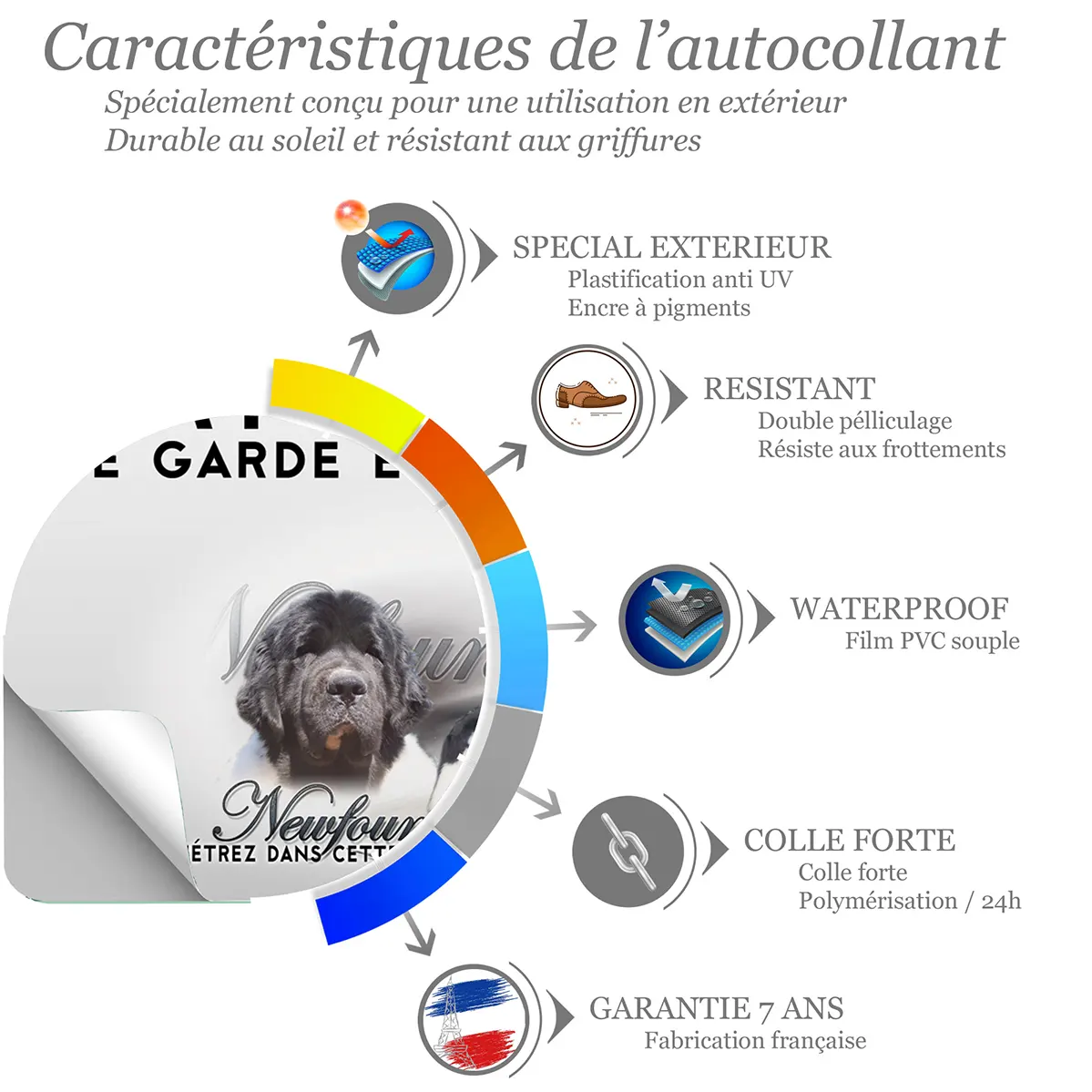 Sticker Chien de race Newfoundland avec un pelage noir et blanc