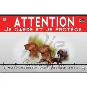 Signalisation personnalisee Trois chiens Vizsla