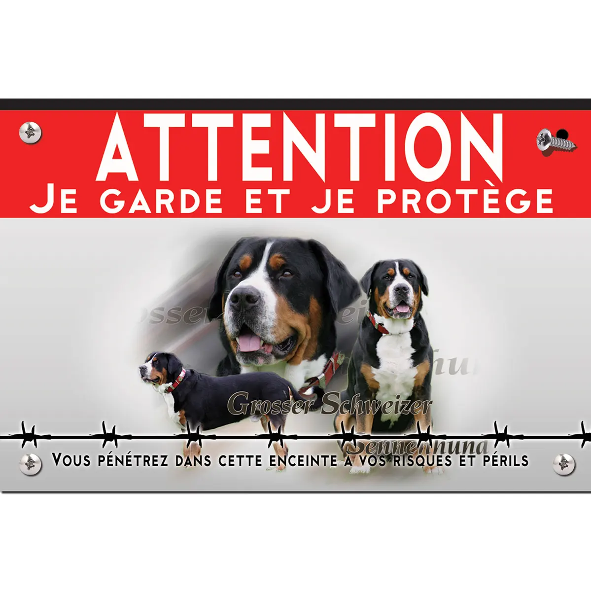Signalisation personnalisee Collage de Grosser Schweizer Sennenhund sur fond vert