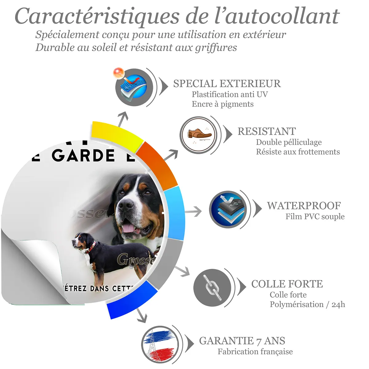 Sticker Collage de Grosser Schweizer Sennenhund sur fond vert