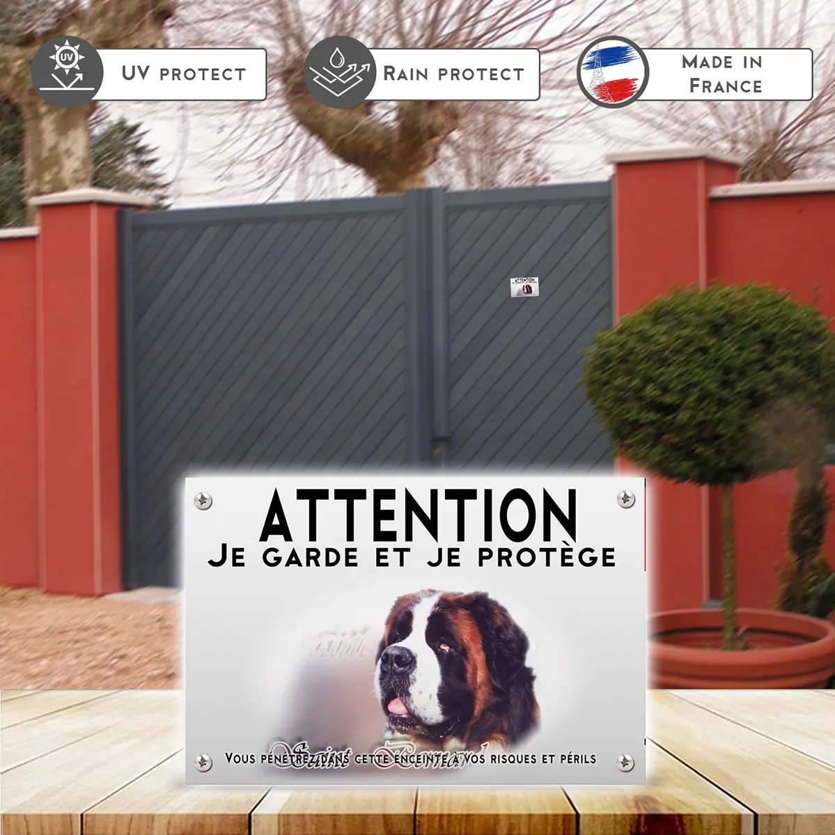 Plaques Portrait d'un Saint Bernard sur fond coloré