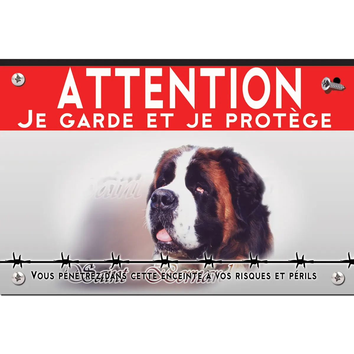 Signalisation personnalisee Portrait d'un Saint Bernard sur fond coloré