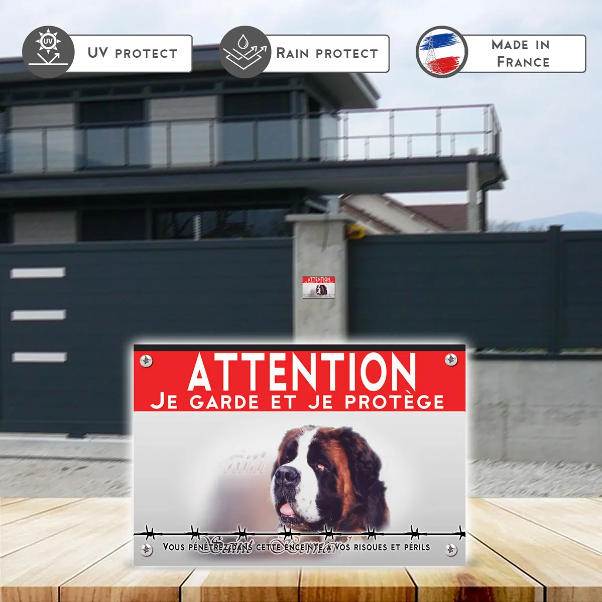 Grande pancarte Portrait d'un Saint Bernard sur fond coloré