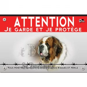 Signalisation personnalisee Chiens de race Bouvier de Saint Bernard en gros plan