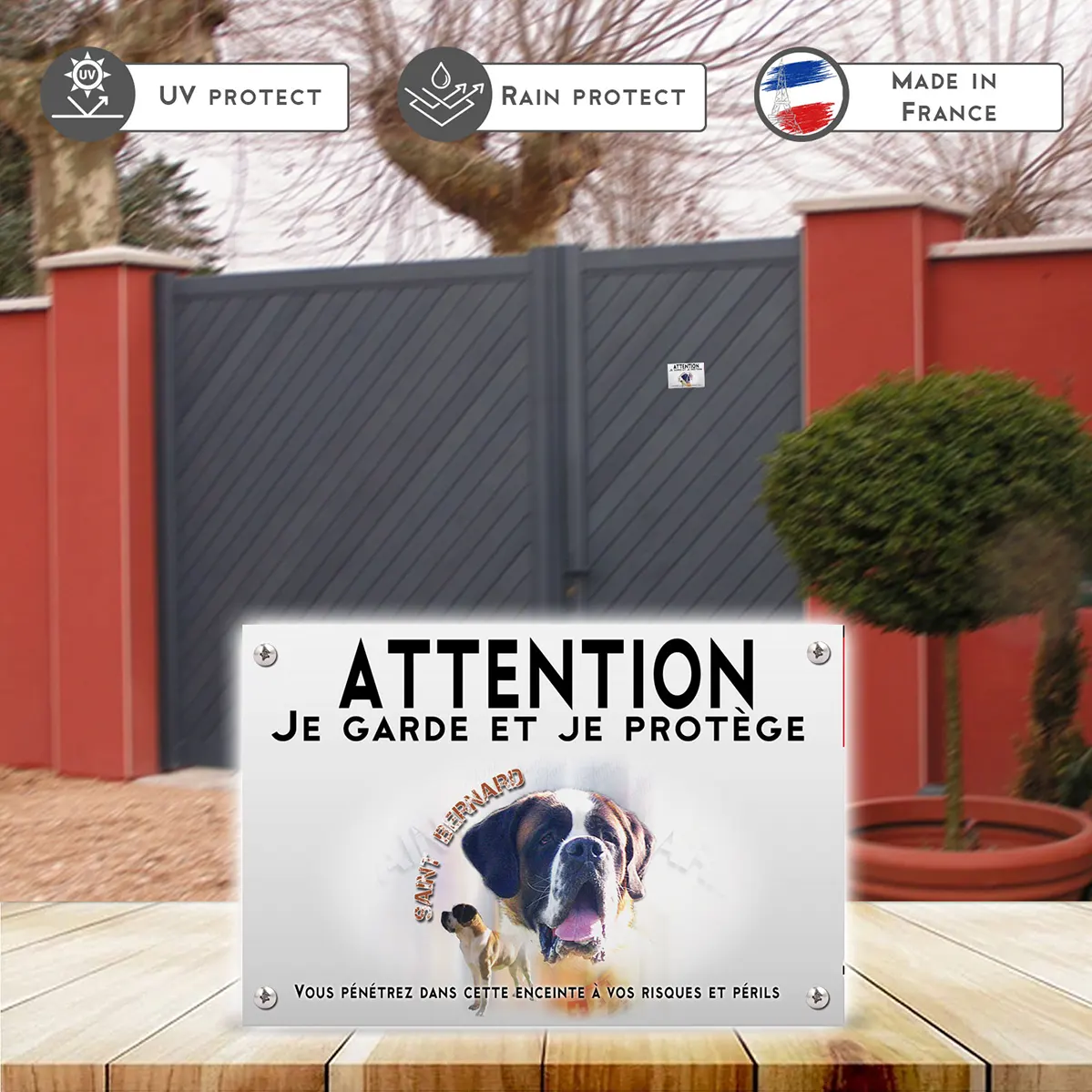 Plaques Portrait de chiens Saint Bernard sur fond coloré