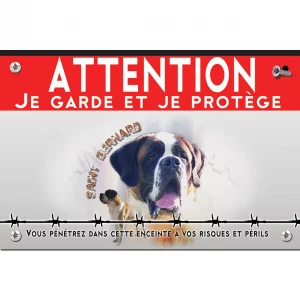 Signalisation personnalisee Portrait de chiens Saint Bernard sur fond coloré