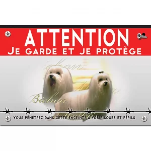 Signalisation personnalisee Deux Bichons Maltais aux longs poils blancs