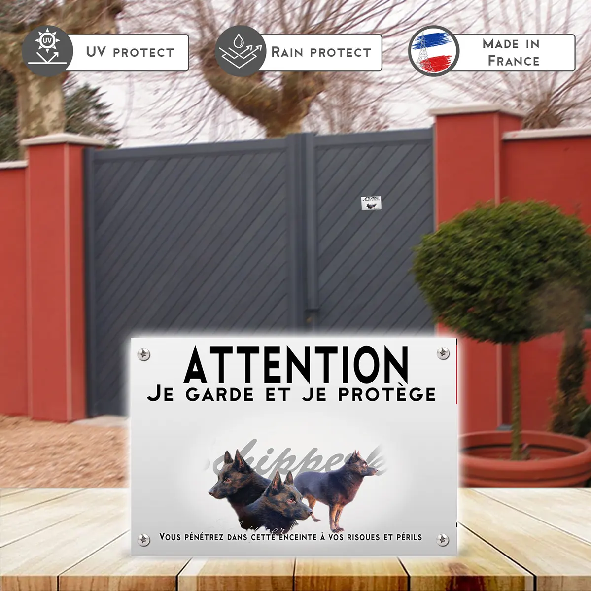 Plaques Schipperke avec plusieurs angles de tête et entier