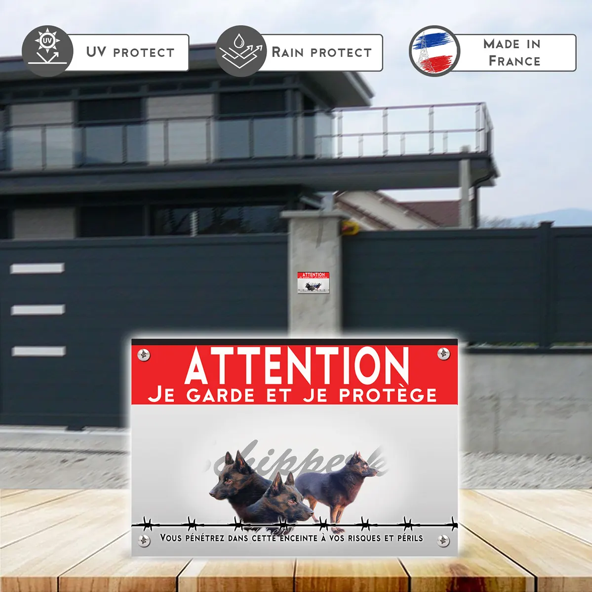 Grande pancarte Schipperke avec plusieurs angles de tête et entier