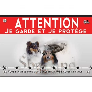 Signalisation personnalisee Trois Collies Shetland sur fond transparent avec texte.