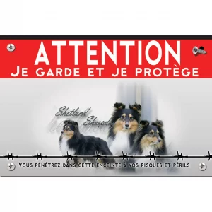 Signalisation personnalisee Trois Shetland Sheepdogs sur fond dégradé