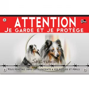 Signalisation personnalisee Deux Shitland Sheepdogs avec pelage élégant