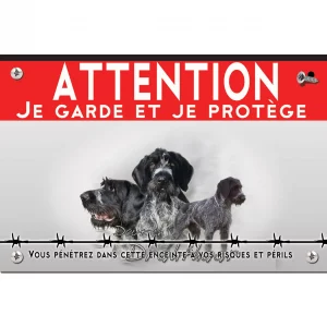 Signalisation personnalisee Gros plan de chiens Deutsch Drahthaar en trois poses
