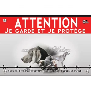 Signalisation personnalisee Images de Braque de Weimar montrant plusieurs angles