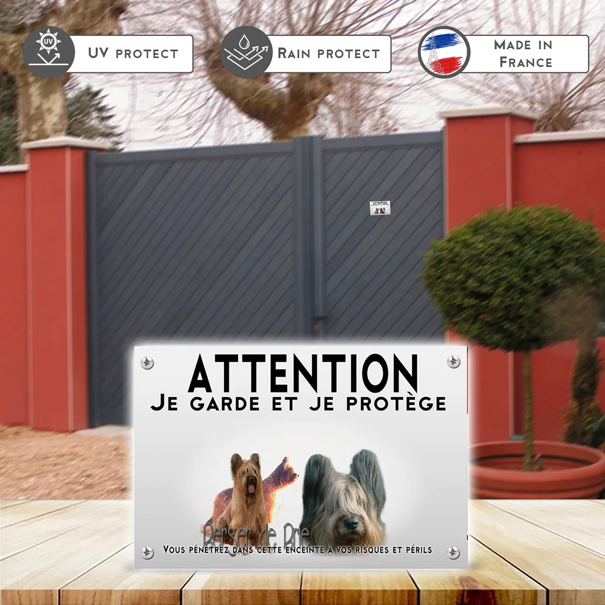 Plaques Trois chiens Berger de Brie sur fond coloré