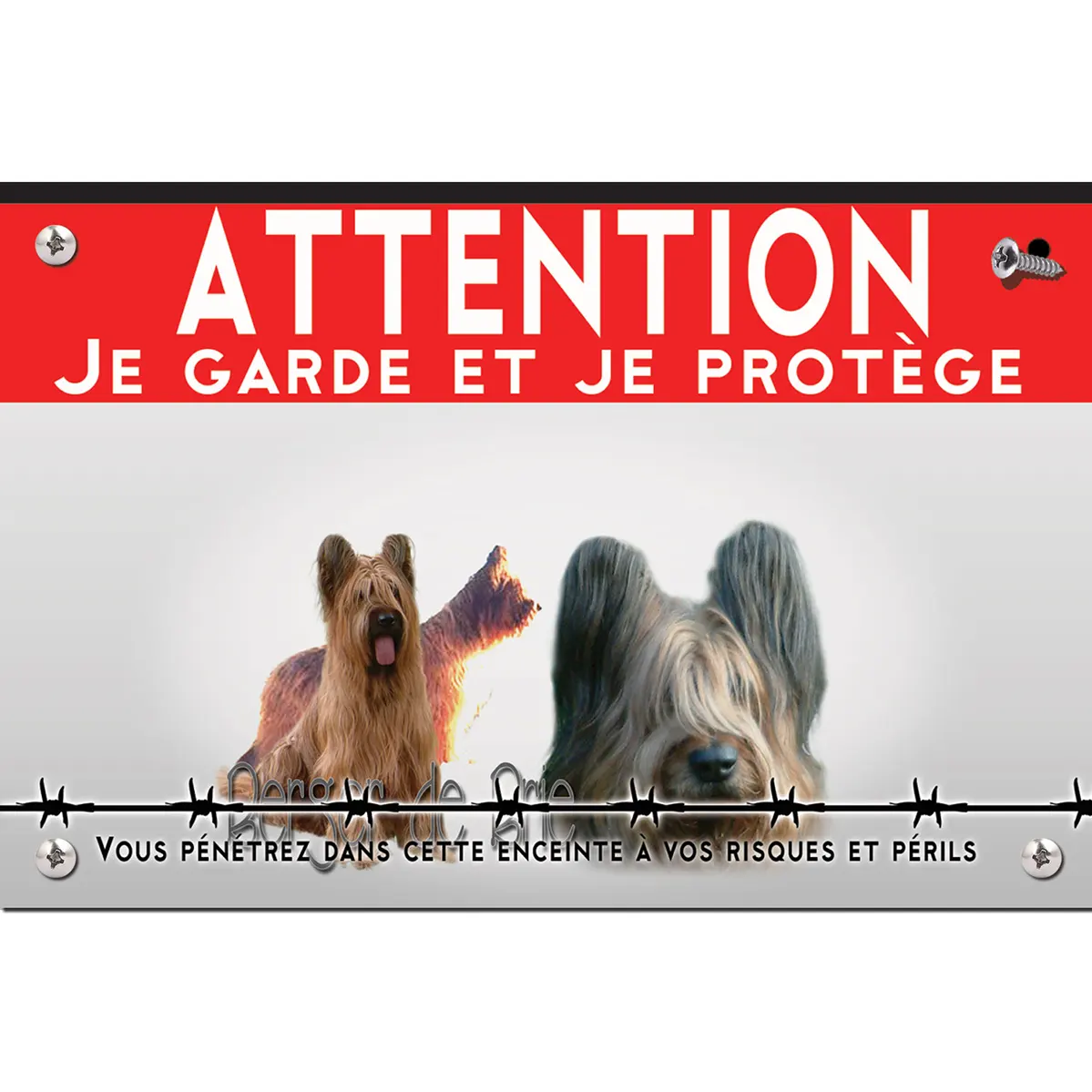 Signalisation personnalisee Trois chiens Berger de Brie sur fond coloré