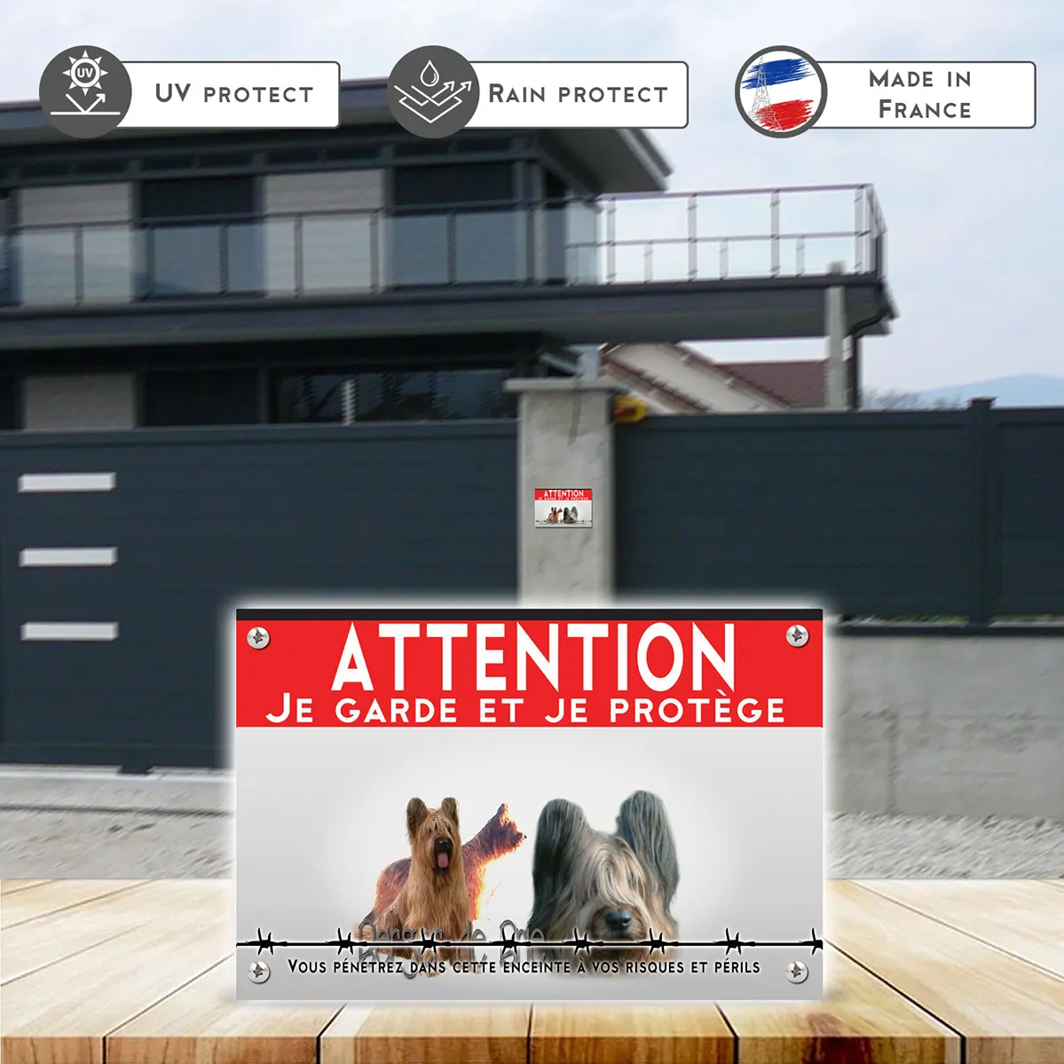 Grande pancarte Trois chiens Berger de Brie sur fond coloré