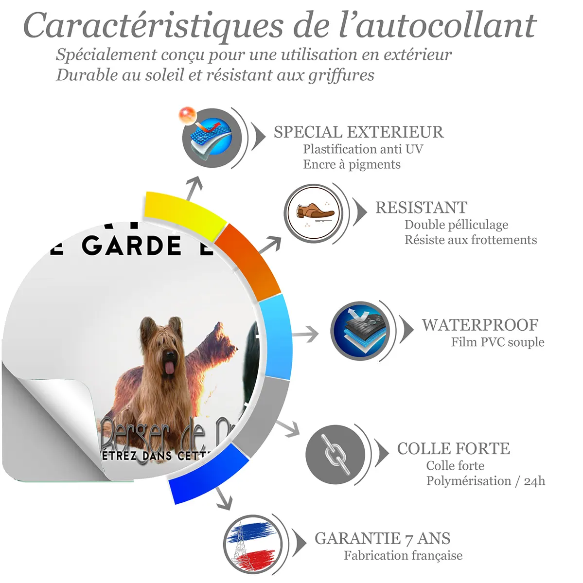 Sticker Trois chiens Berger de Brie sur fond coloré