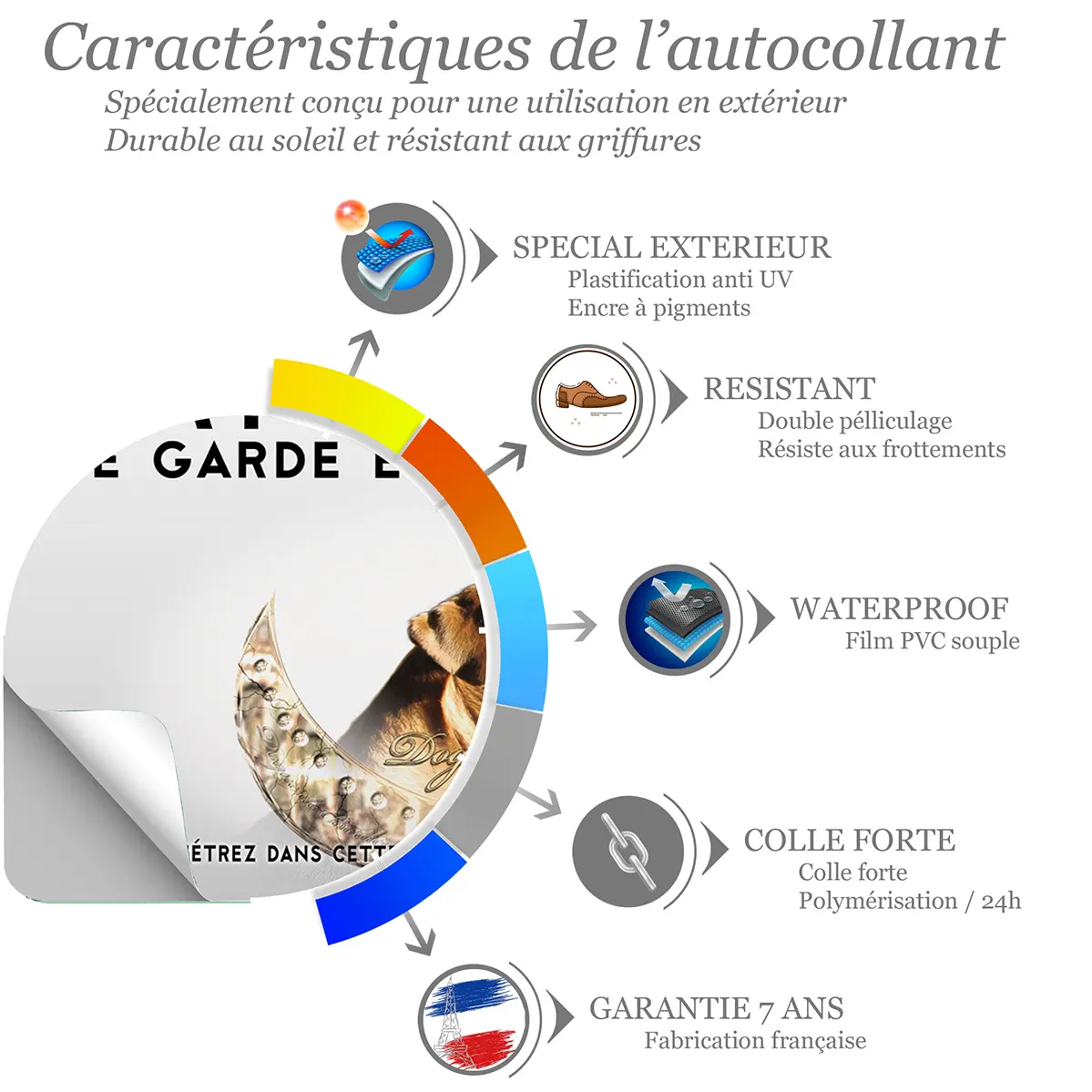 Sticker Dogue de Bordeaux en profil avec éclairage doux