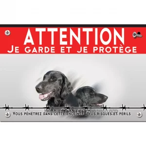 Signalisation personnalisee Deux Flat Coated Retrievers en gros plan