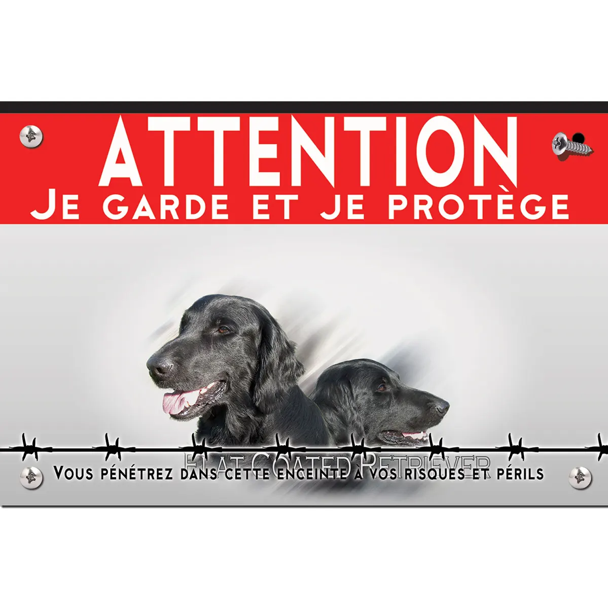 Signalisation personnalisee Deux Flat Coated Retrievers en gros plan